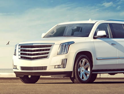 White SUV parked by a seaside with a bird flying nearby.